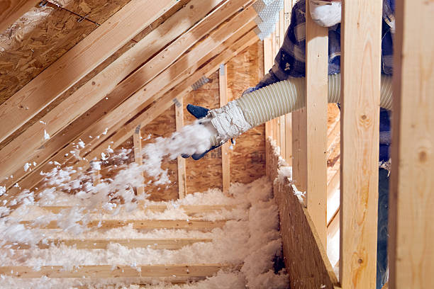 Professional Insulation Services in St Anne, IL